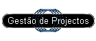 Gestão de Projectos