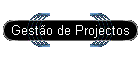 Gesto de Projectos