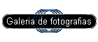 Galeria de fotografias