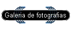 Galeria de fotografias